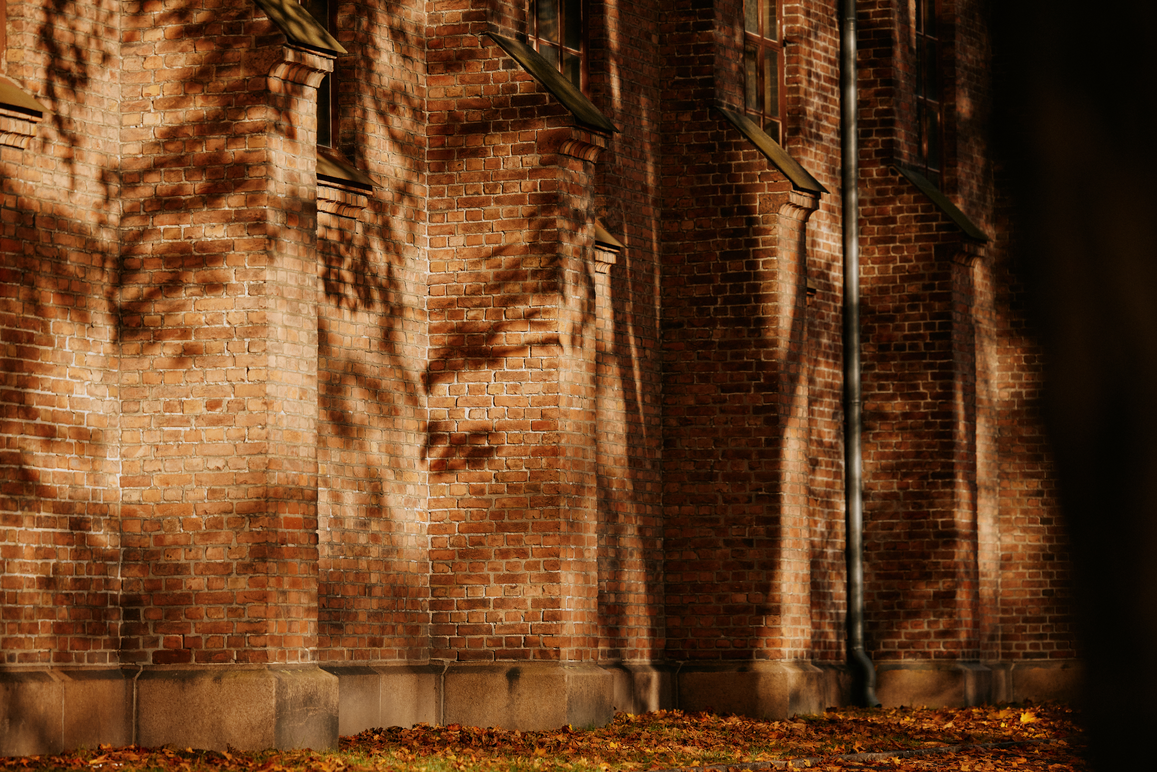 OAT Abrakadabra Kirke 0151